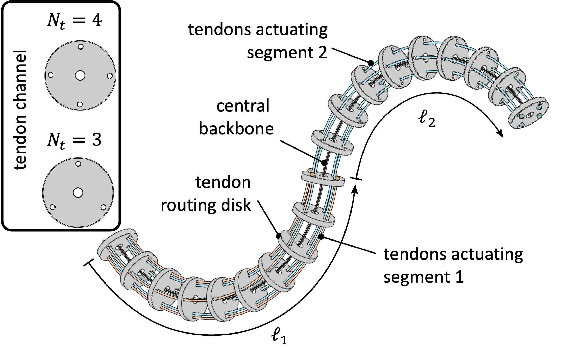 TDCR design concept, credit: University of Toronto